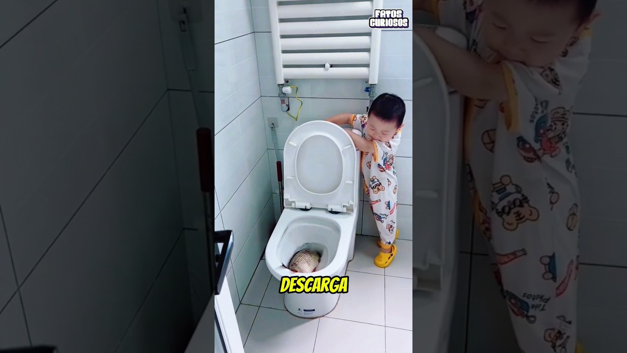 GAROTINHO INOCENTE TENTA SALVAR PEIXE QUE SUA MÃE HAVIA COMPRADO
