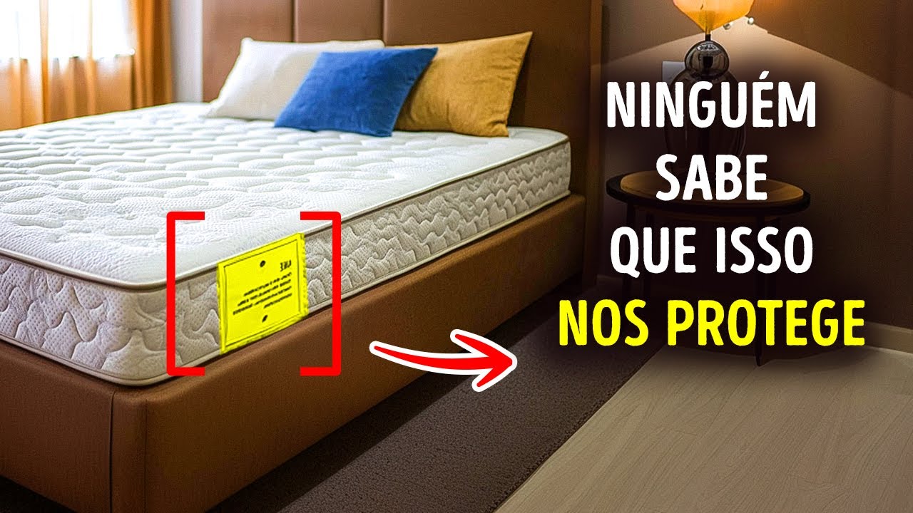 Mais de 100 fatos da categoria 'Uau' que você vai adorar