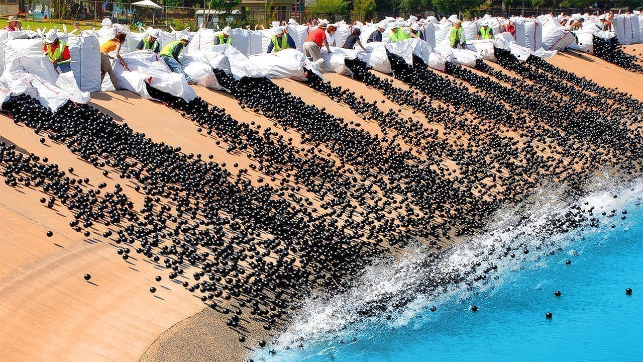 Eles Jogaram 96 Milhões De Bolas Em Um Lago, Meses Depois Lutaram Para Remover Tudo