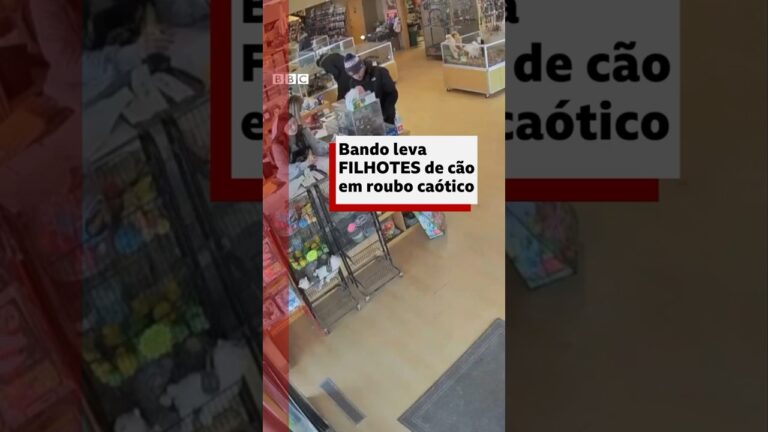 Bandidos roubam cachorrinhos após homem aparentar convulsão em pet shop #bbcnewsbrasil