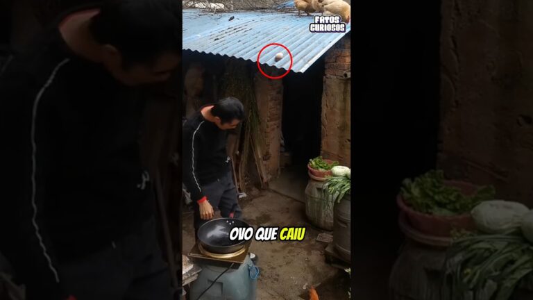 ESSE GAROTO É O MAIS SORTUDO DO MUNDO