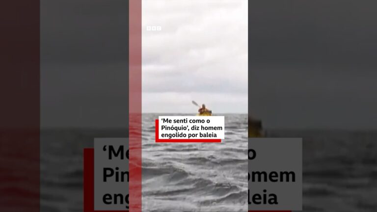 Homem engolido (e cuspido) por baleia no Chile conta como foi o susto #bbcnewsbrasil