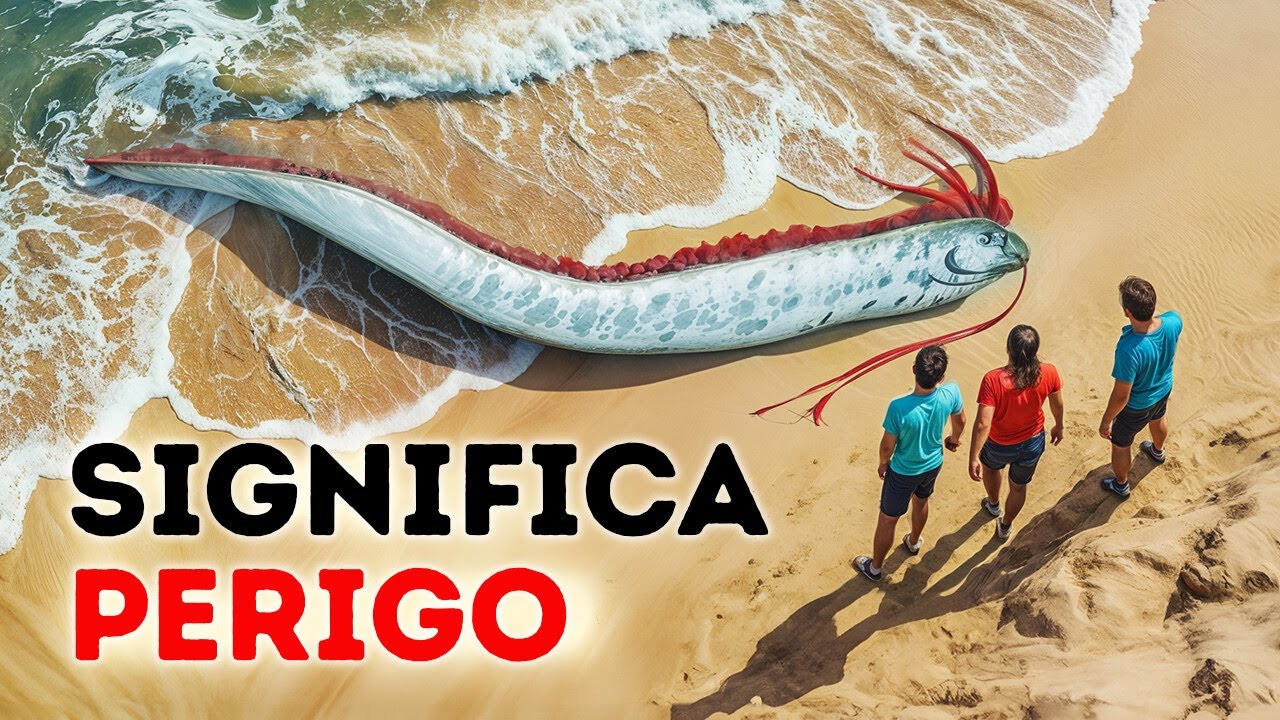 Sinais de alerta que podem salvar sua vida antes que ocorra um desastre