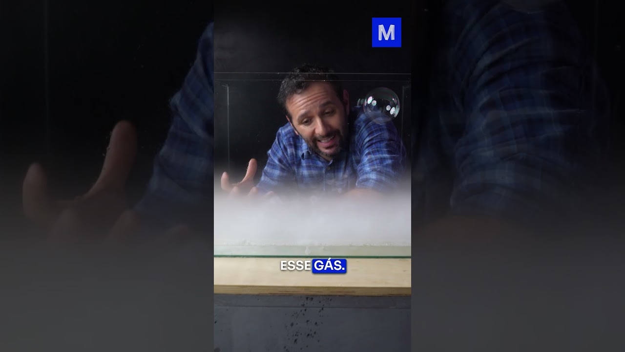 Já viu um AQUÁRIO de BOLHAS?