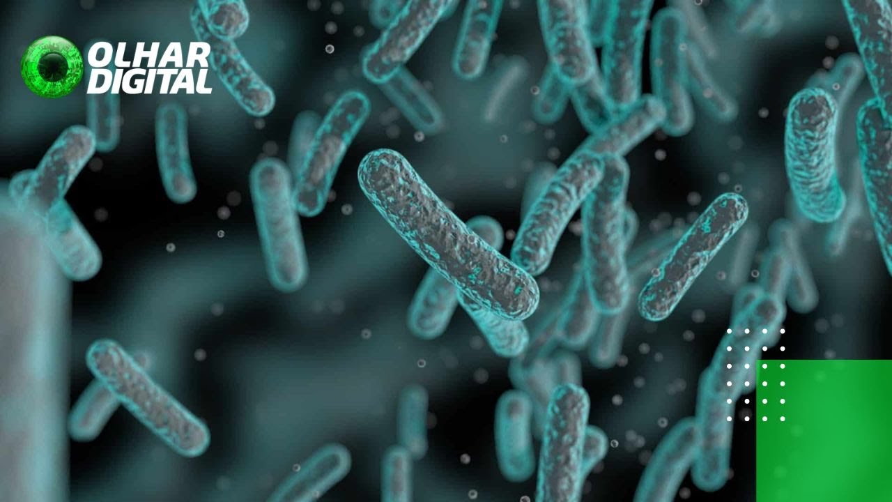 Micróbios ajudam a reduzir gás tóxico da atmosfera