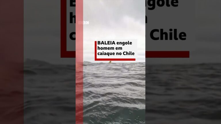 Patagônia: baleia engole homem e depois o expele #bbcnewsbrasil