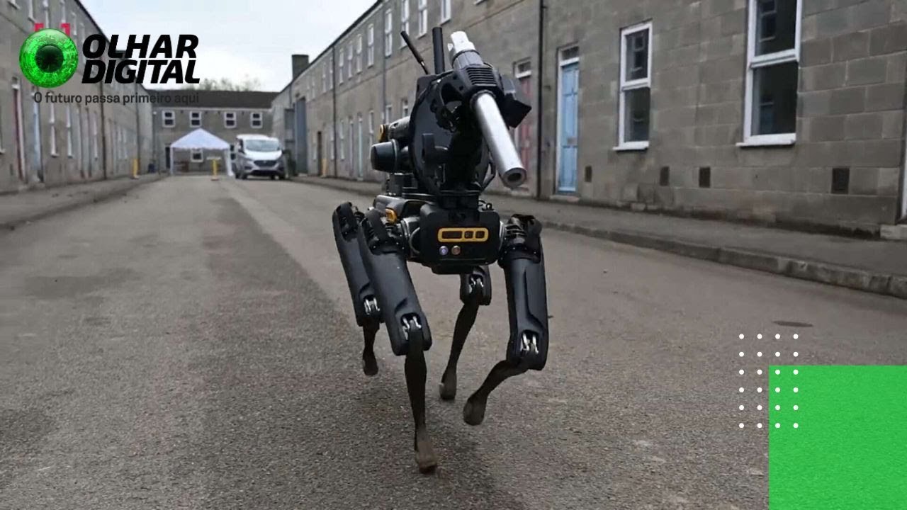 Reino Unido vai usar cães-robôs para desativar bombas