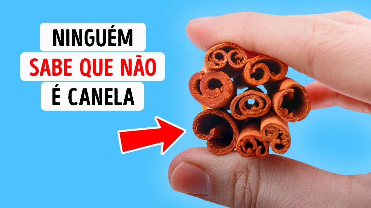 Fatos sobre alimentos que elevarão o nível do seu fã de comida interior