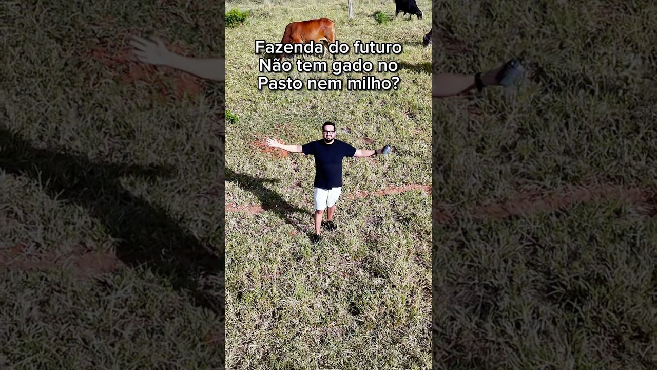 Conheça uma usina solar