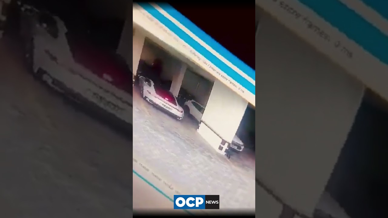 Criança bate Porsche contra o muro