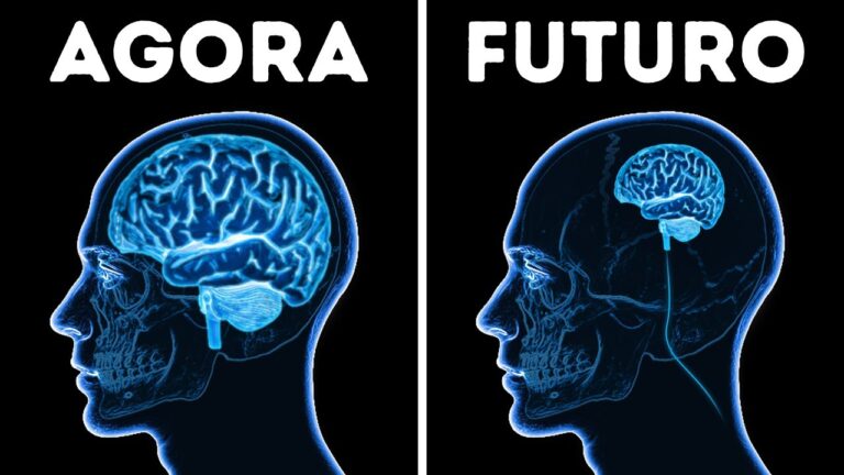 Você perde massa encefálica o tempo todo // 150 fatos sobre corpos selvagens
