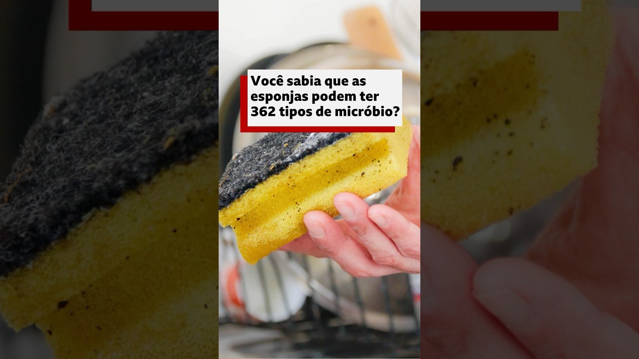 'Parecido com fezes': as bactérias na esponja de cozinha e o que fazer para evitá-las #bbcnewsbrasil