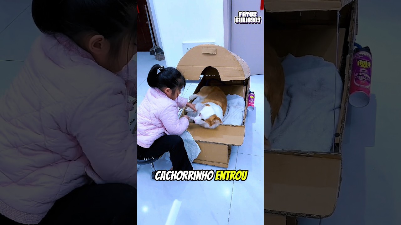 ESSA GAROTINHA HUMILDE SEMPRE TEVE O SONHO DE SER UMA VETERINÁRIA