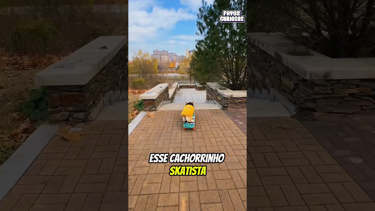 ESSE CACHORRINHO CHOCOU A TODOS COM SUA HABILIDADE