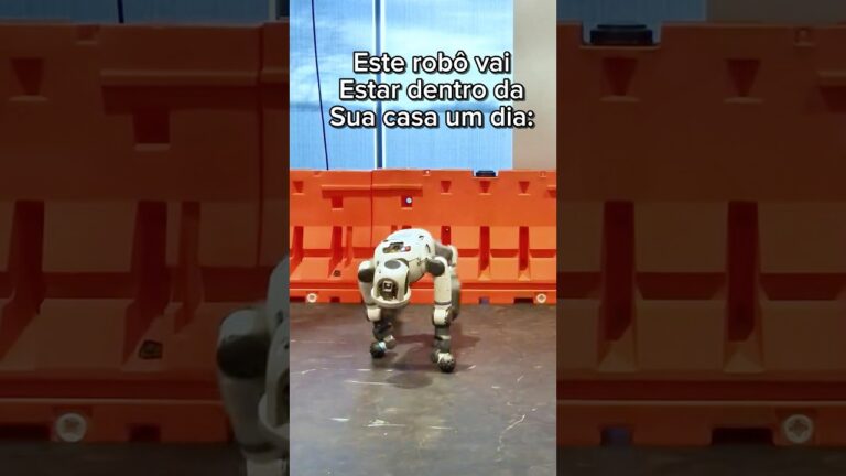 Esse robô um dia vai estar dentro da sua casa, já imaginou?