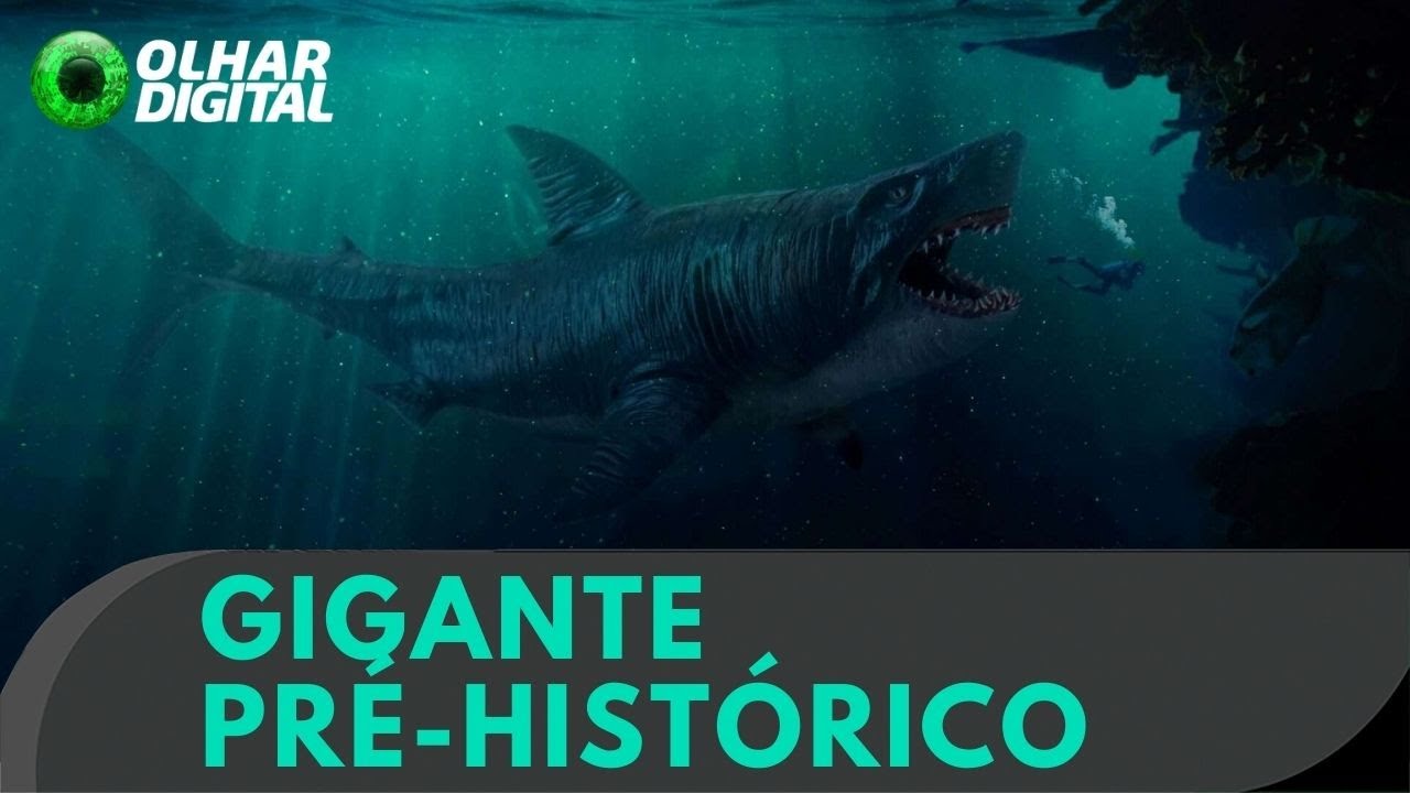 Novos detalhes surpreendentes do Megalodon!