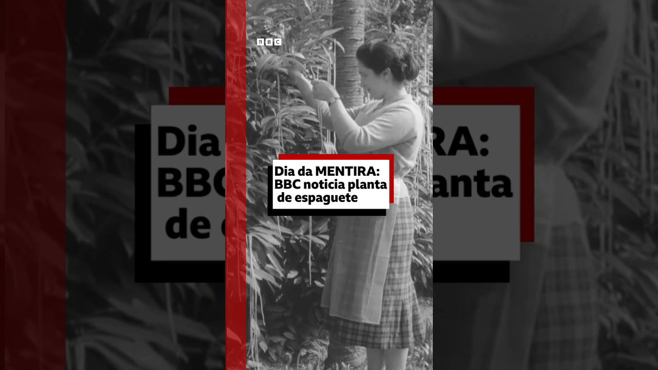 1º de abril: a pegadinha da BBC sobre 'plantação de espaguete' em 1957 #bbcnewsbrasil