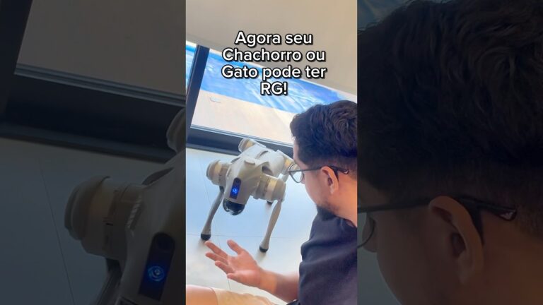 Como dar um RG para seu cachorro ou gato