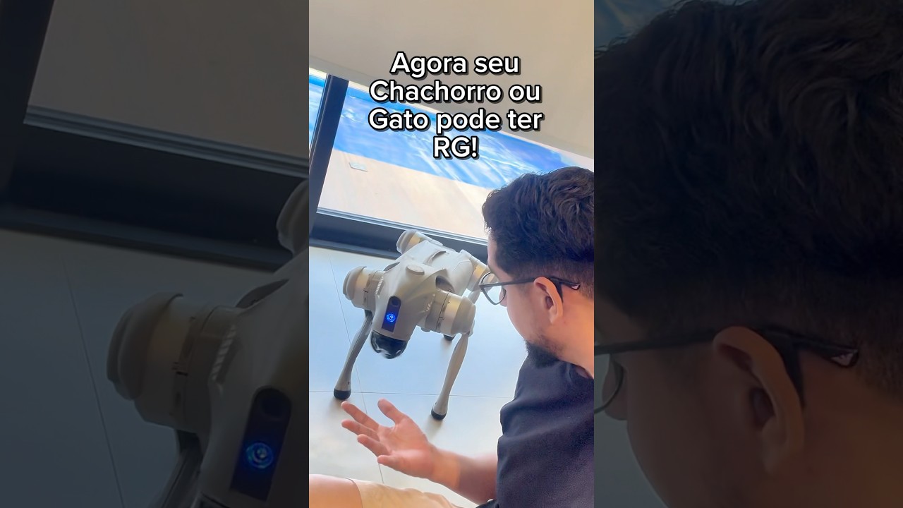 Como dar um RG para seu cachorro ou gato