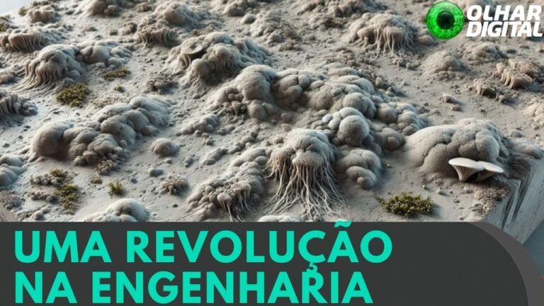 Concreto vivo se regenera e pode revolucionar a construção civil