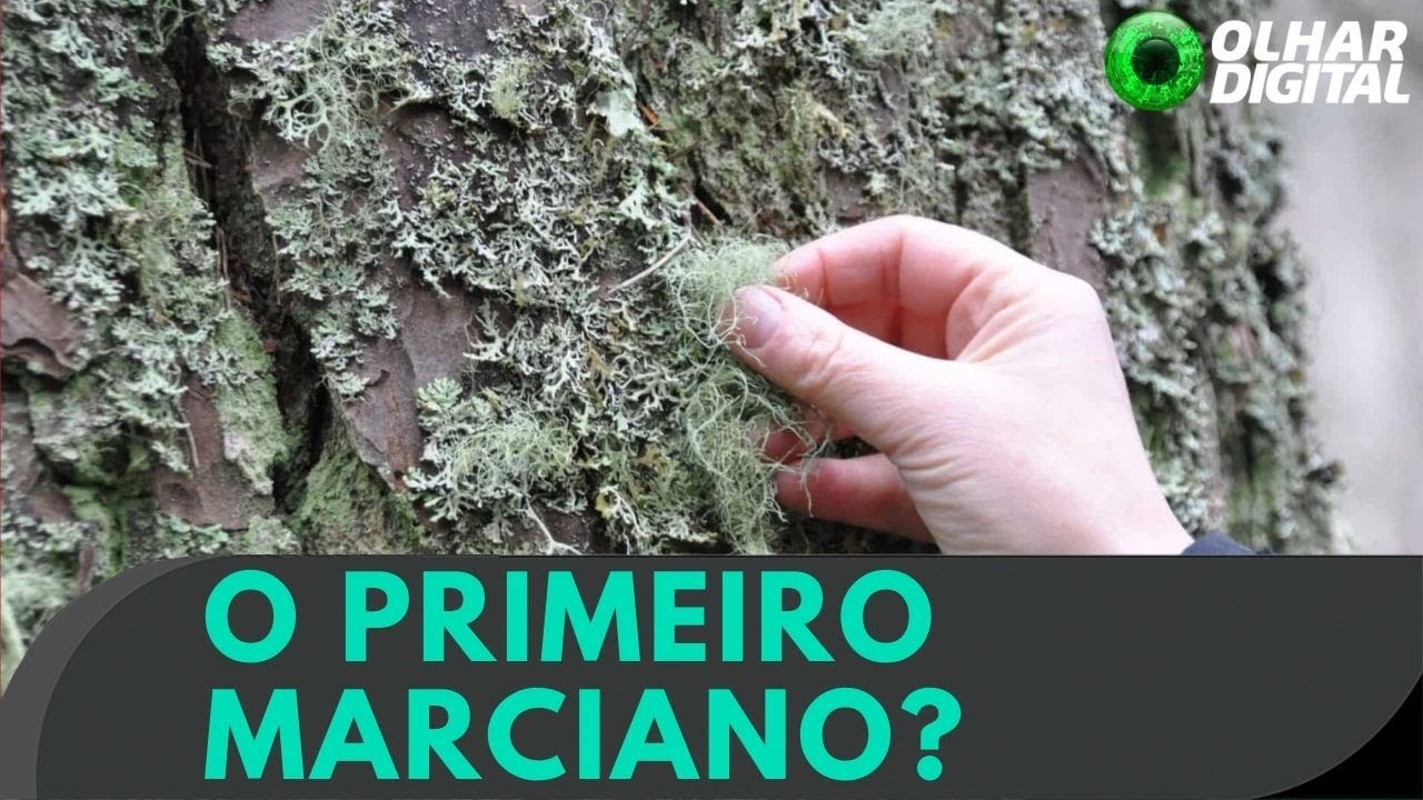 Essa forma de vida 'terráquea' poderia sobreviver em Marte