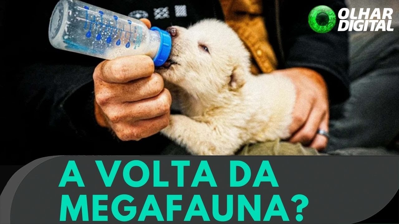 Não é só o lobo-terrível! Empresa quer 'reviver' outros animais