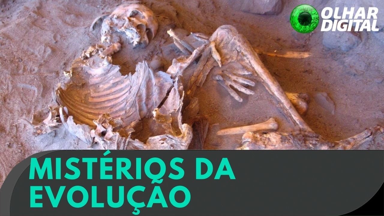 Ciência acaba de descobrir uma linhagem humana desconhecida de 7 mil anos
