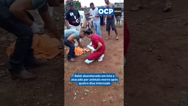 Bebê abandonado em lote e atacado por animais morre após quatro dias internado