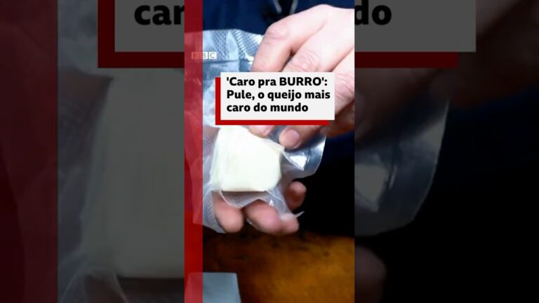 O que faz do Pule o queijo mais caro do mundo? #bbcnewsbrasil