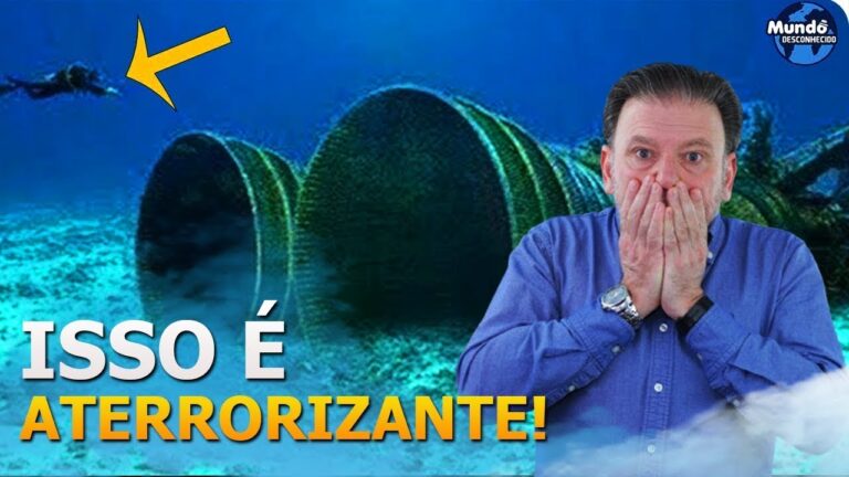 O que mergulhadores descobriram na Austrália aterrorizou o mundo todo