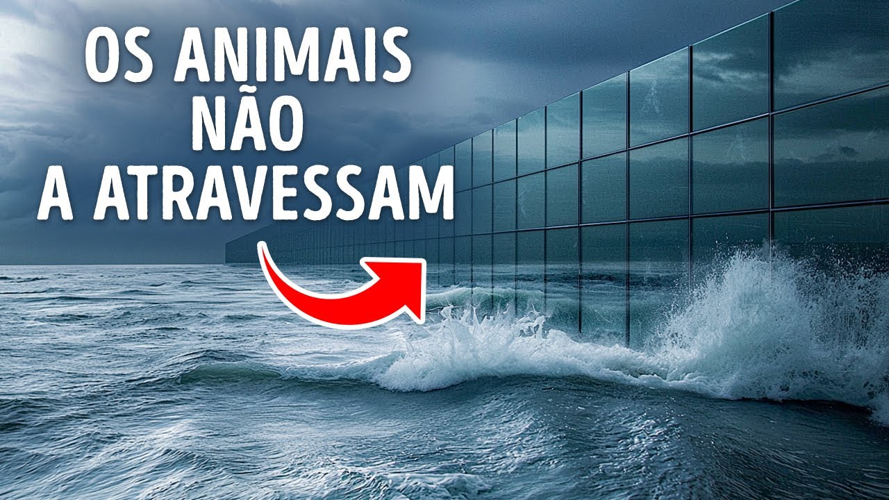 Os maiores truques de mágica da Terra (e por que mal percebemos)