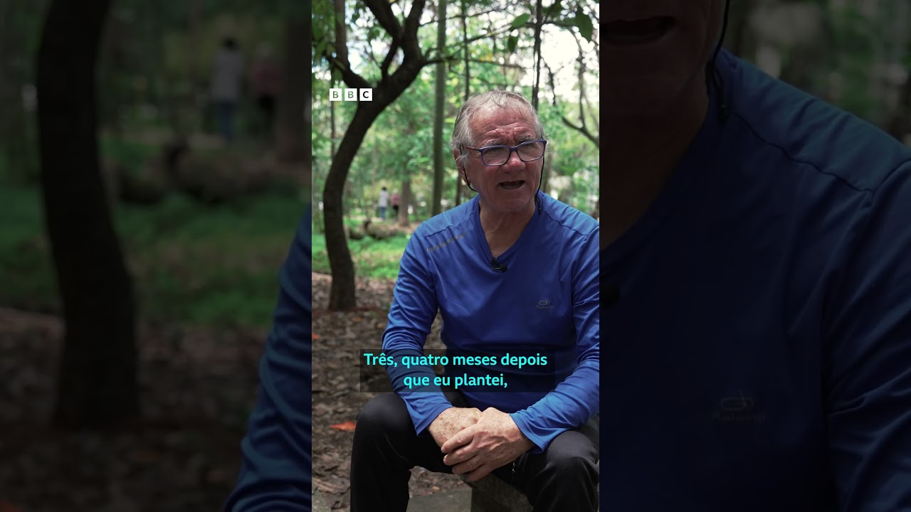A floresta que 'brotou' no meio do entulho em São Paulo com plantio de 41 mil mudas