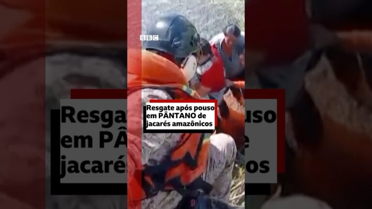 Grupo sobrevive 36 horas em pântano infestado de jacarés após queda de avião 🐊🚨 #bbcnewsbrasil