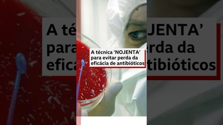 A eficiente técnica que usa larvas para tratar feridas #bbcnewsbrasil