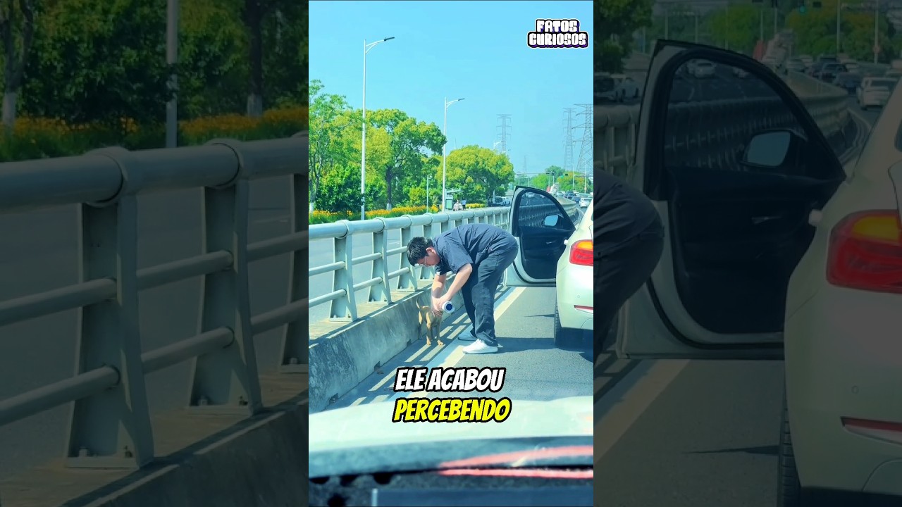 A NOBRE ATITUDE DESSE HOMEM SALVOU A VIDA DESSE ANIMALZINHO