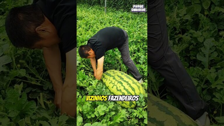 APÓS VARIAS CRÍTICAS ESSE HOMEM SURPREENDEU A TODOS