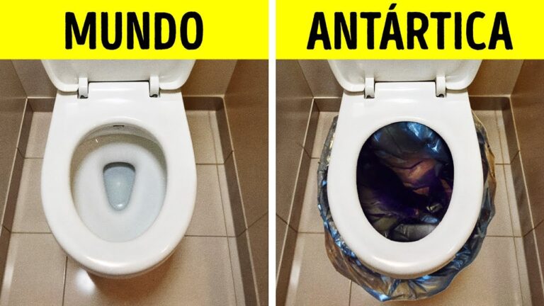 Coisas Estranhas que Você não Vai Acreditar que São Proibidas na Antártica