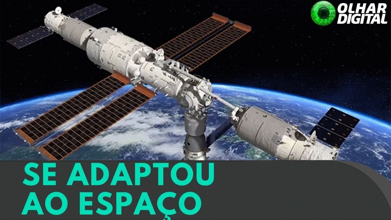 Bactéria desconhecida é identificada na estação espacial chinesa