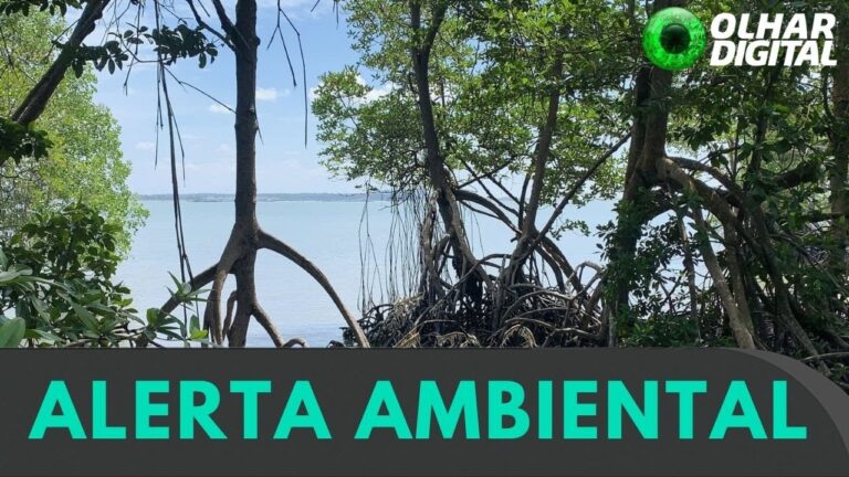 Bioma está ameaçado por El Niño e La Niña