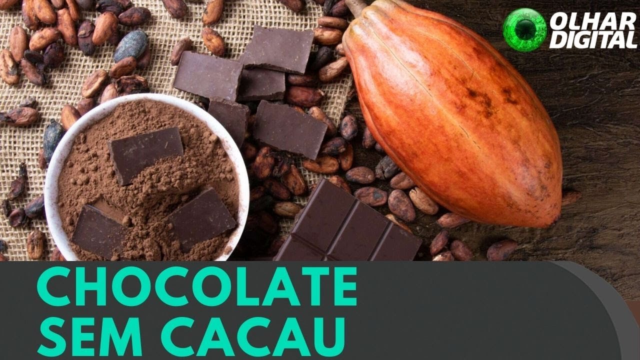 Chocolate fake? Pesquisadores da USP criam substituto do cacau