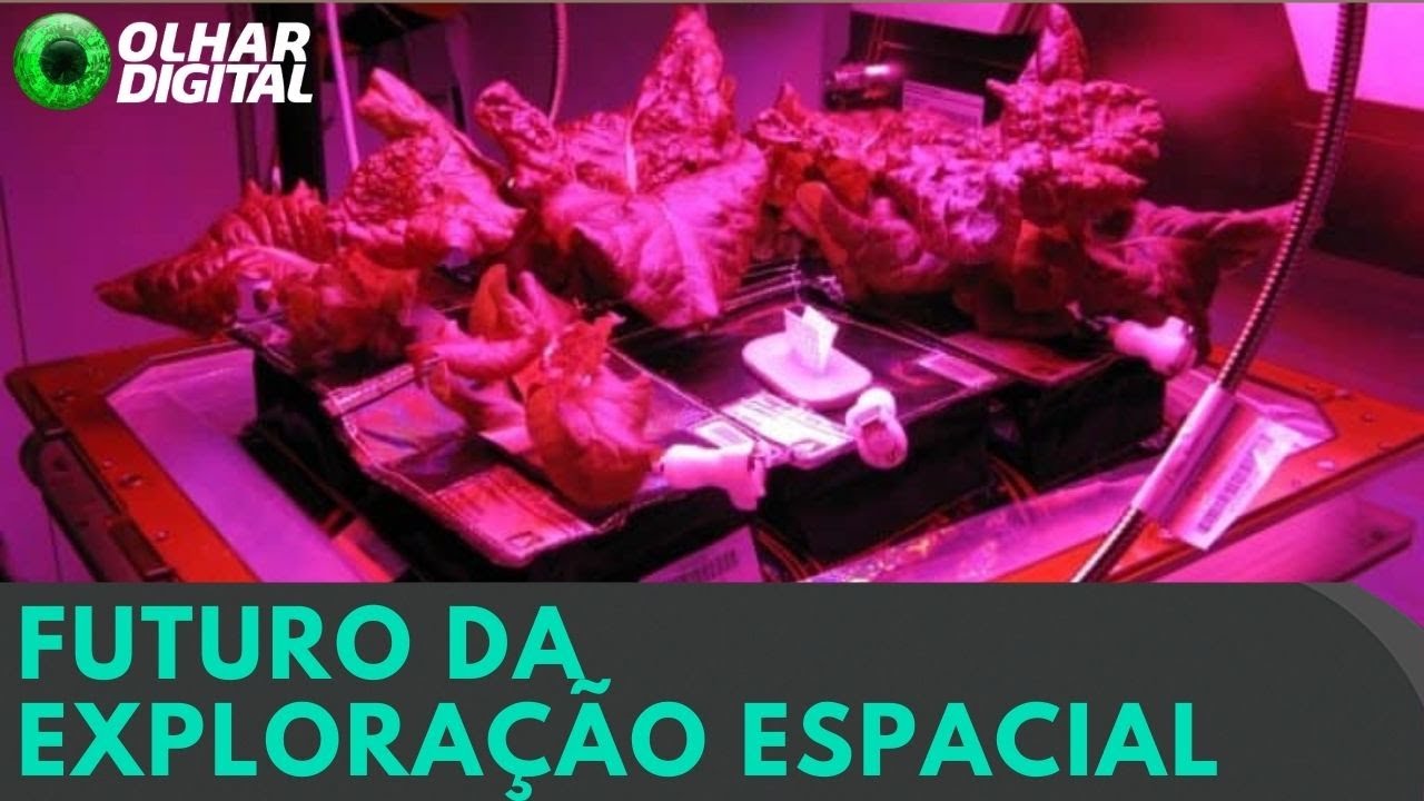 Cientistas da NASA colhem “alface espacial”