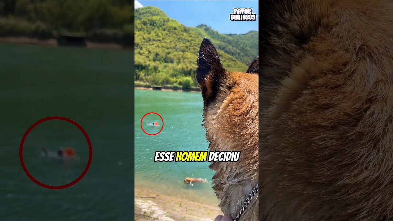 A NOBRE ATITUDE DESSE CACHORRO EVITOU QUE ALGO PIOR ACONTECESSE COM SEU DONO