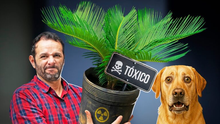 Essa PLANTA pode MATAR seu CACHORRO!