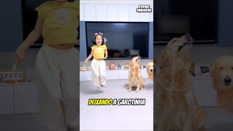 ESSE CACHORRINHO FAZ DE TUDO PARA VER A FILHA DE SUQ DONA FELIZ