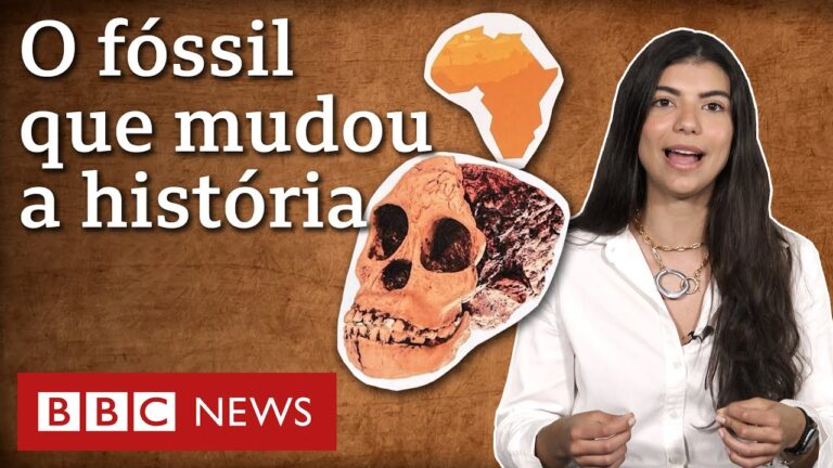 Criança de Taung: a descoberta que provou que humanos vieram da África – e não da Europa