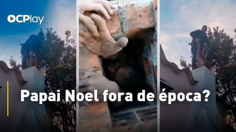 Ladrão tenta invadir casa pela chaminé e fica entalado