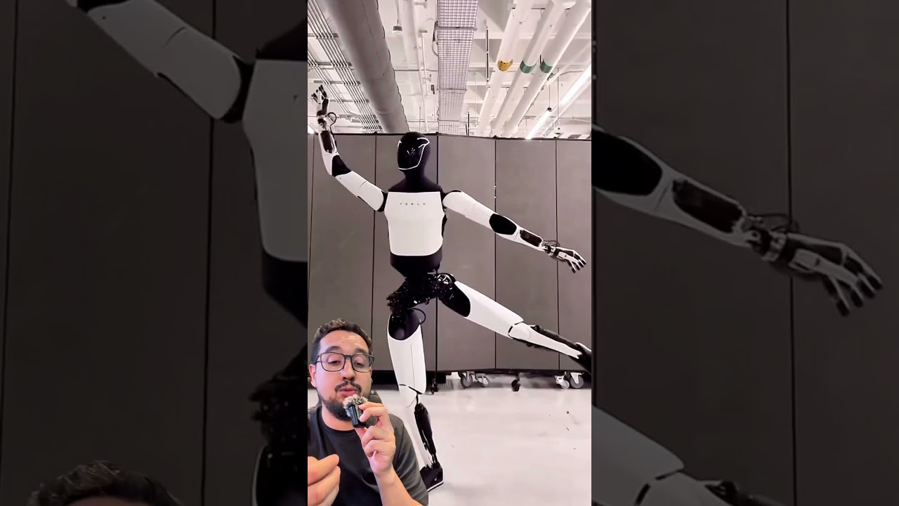 O robô até Tesla está insano