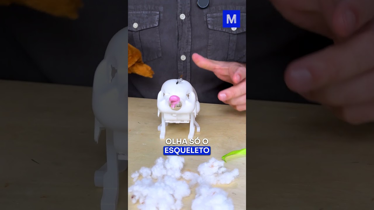 O SEGREDO da CAPIVARA PULANTE!