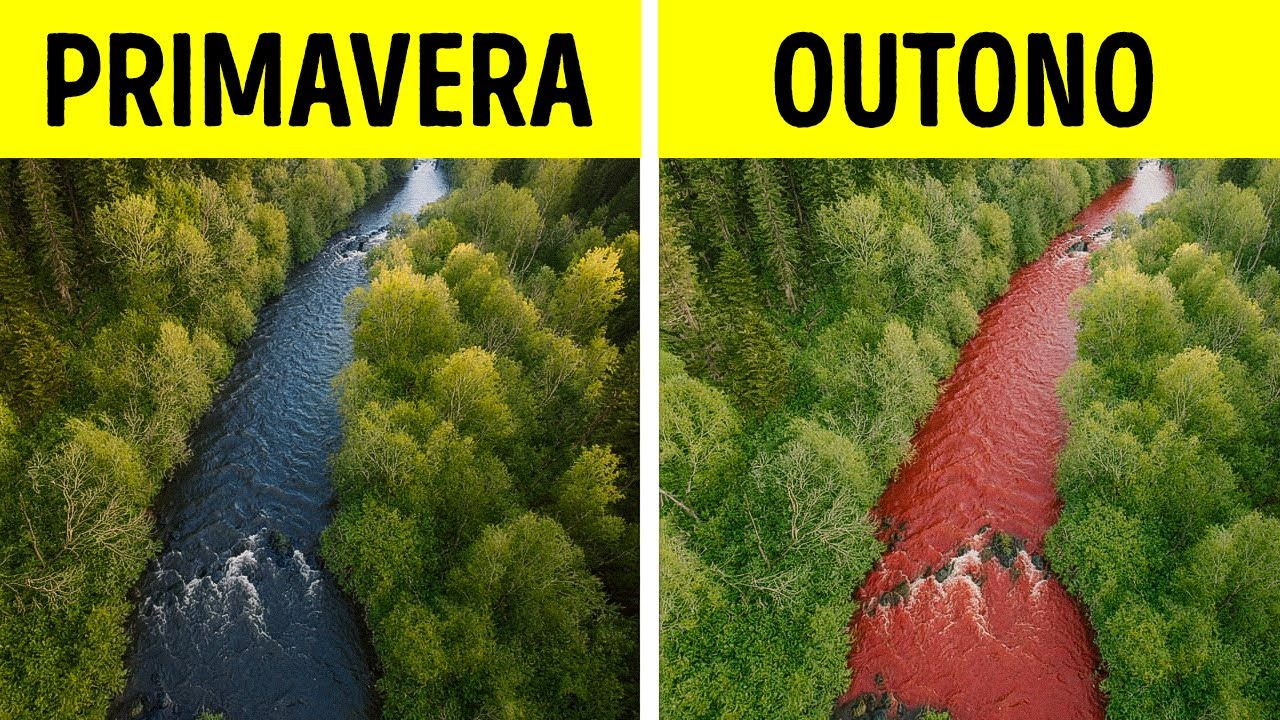 Os rios mais imprevisíveis da natureza criam suas próprias regras