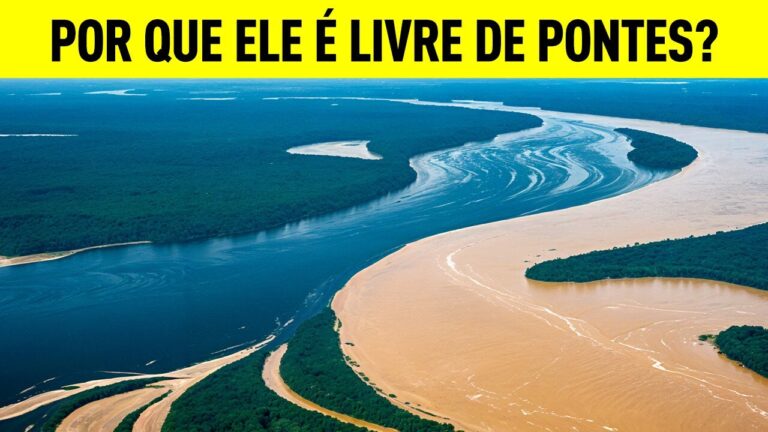 Sem pontes sobre o Amazonas – e outros mistérios fluviais